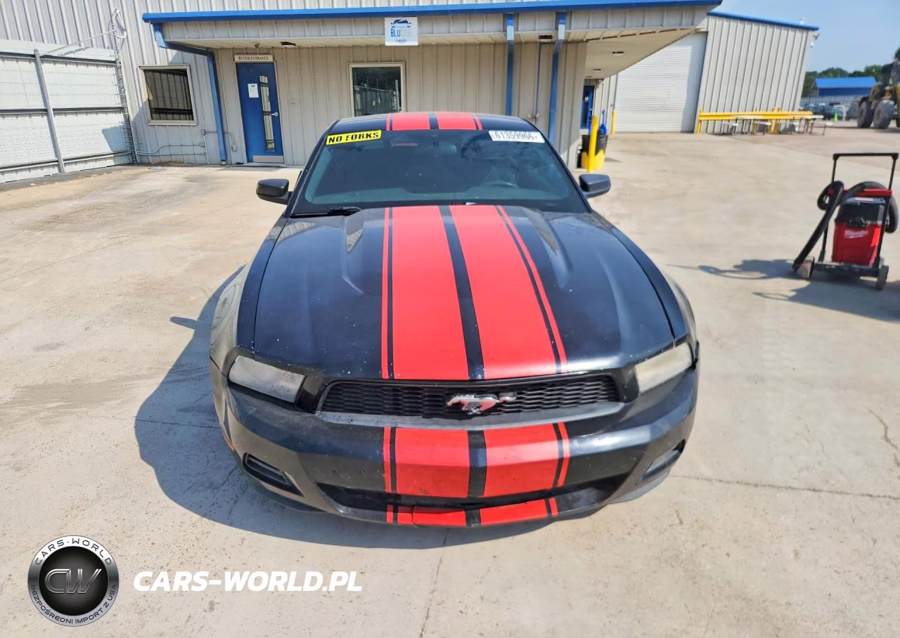 2010 Ford Mustang VIN:1ZVBP8AN0A5177016 - 5