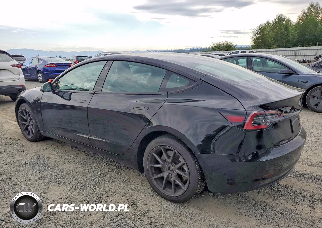2023 Tesla Model 3 VIN:5YJ3E1EA5PF455847 - 2