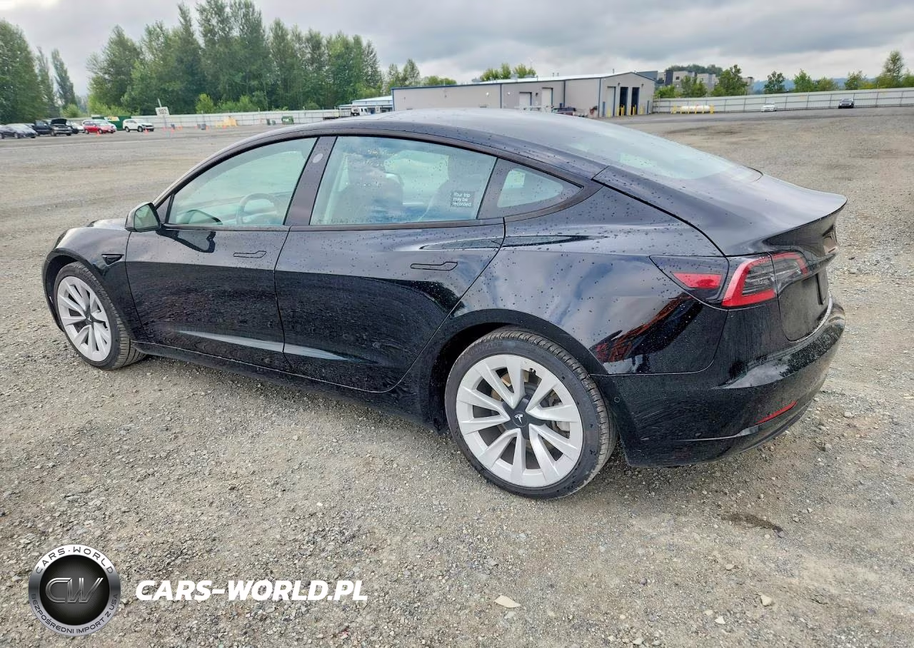 2022 Tesla Model 3 VIN:5YJ3E1EAXNF289614 - 2