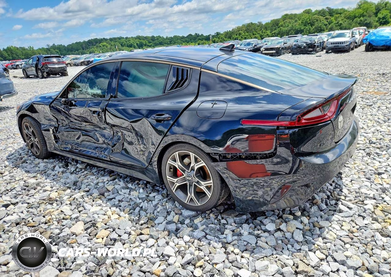 2018 Kia Stinger VIN:KNAE45LC4J6009860 - 2