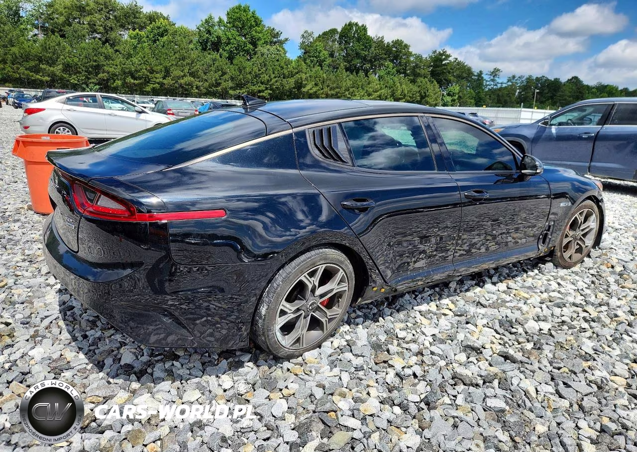 2018 Kia Stinger VIN:KNAE45LC4J6009860 - 3