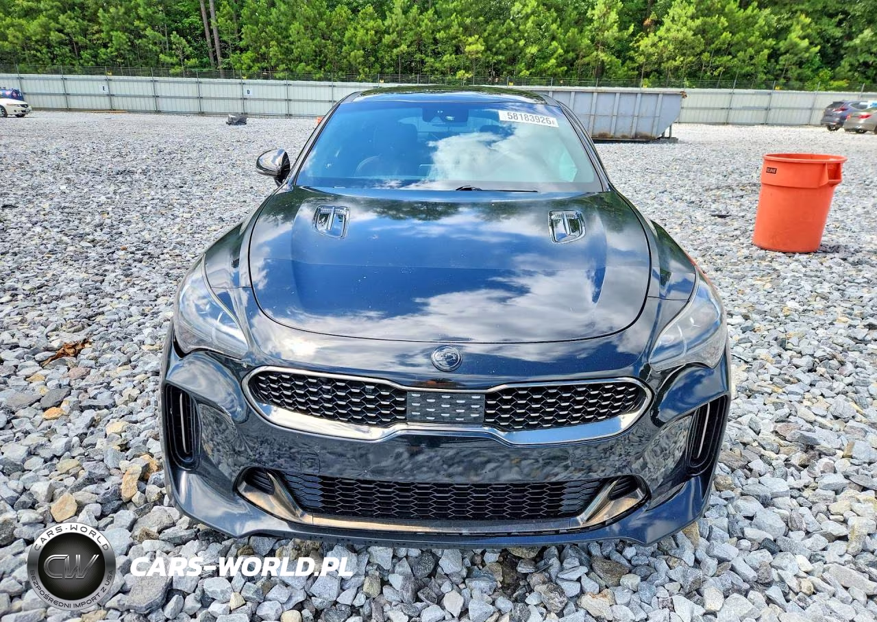 2018 Kia Stinger VIN:KNAE45LC4J6009860 - 5