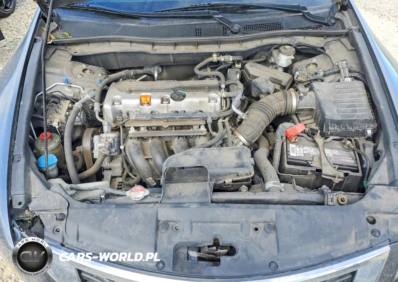 2010 Honda Accord Lxp VIN:1HGCP2F40AA197537 - 11