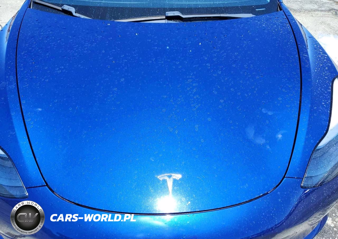 2021 Tesla Model 3 VIN:5YJ3E1EA1MF875178 - 11