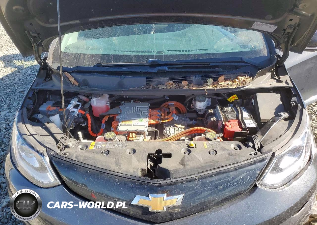 2017 Chevrolet Bolt Ev Premier VIN:1G1FX6S01H4183623 - 11