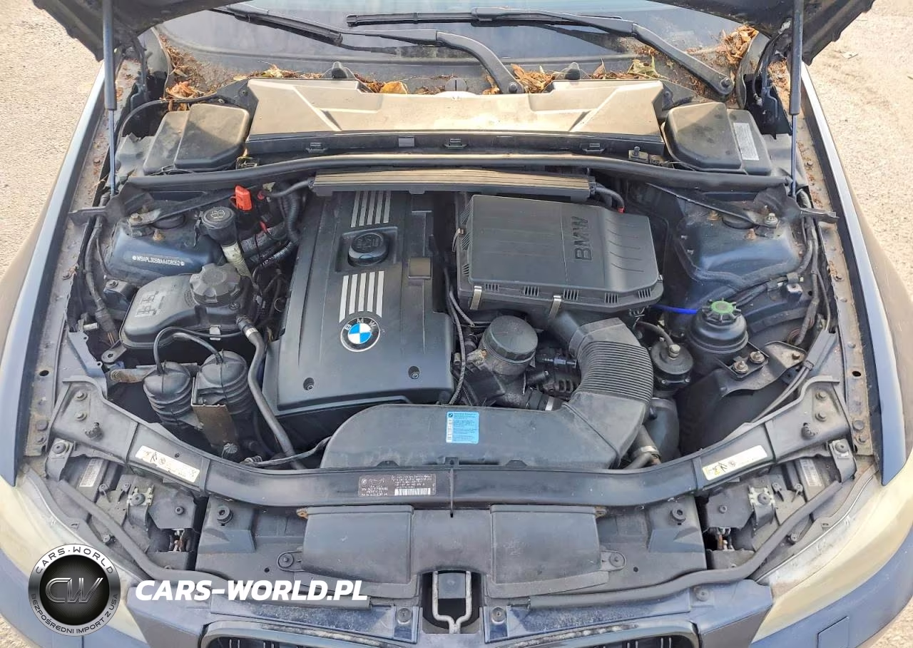 2010 BMW 3 Series VIN:WBAPL3C59AA408052 - 11