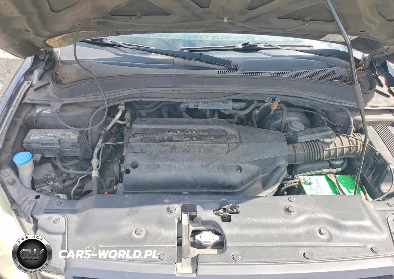 2004 Honda Pilot Exl VIN:2HKYF18564H543384 - 12