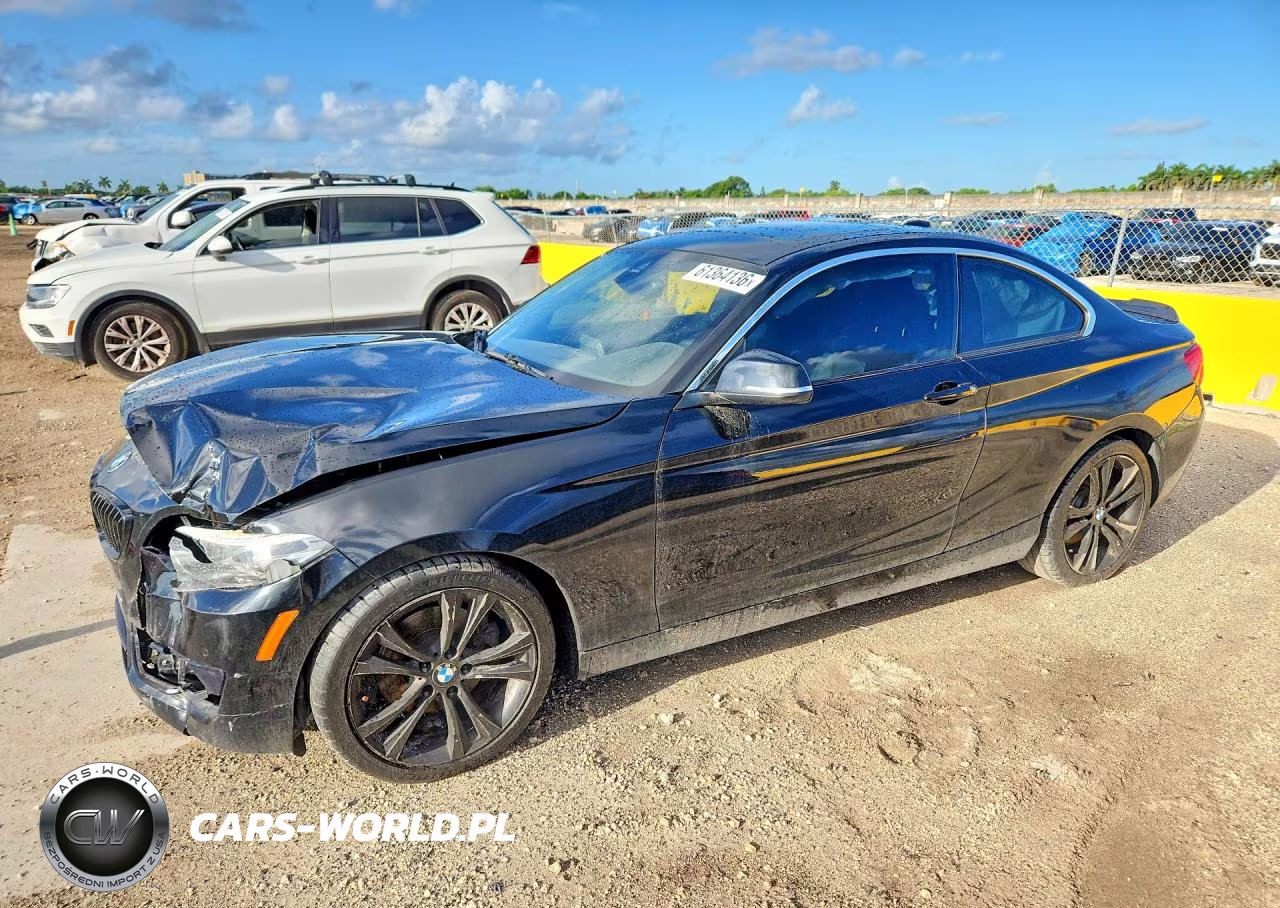 2019 BMW 230I