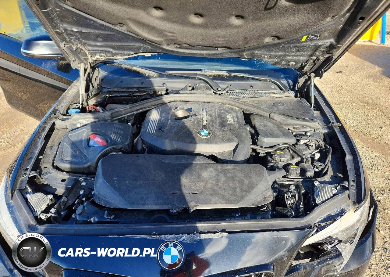 2019 BMW 230I VIN:WBA2J1C57KVD10171 - 11