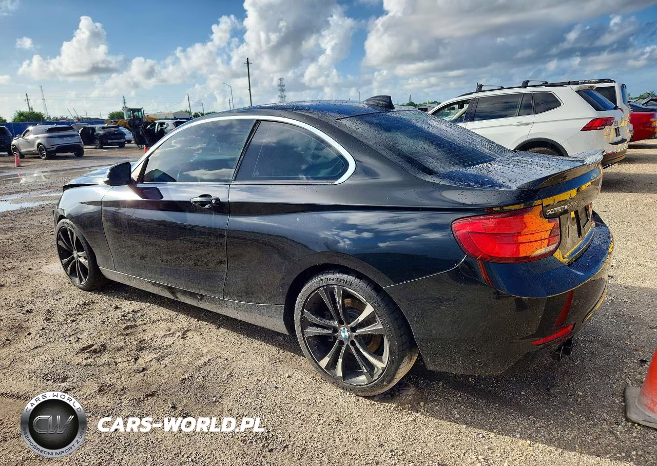 2019 BMW 230I VIN:WBA2J1C57KVD10171 - 2