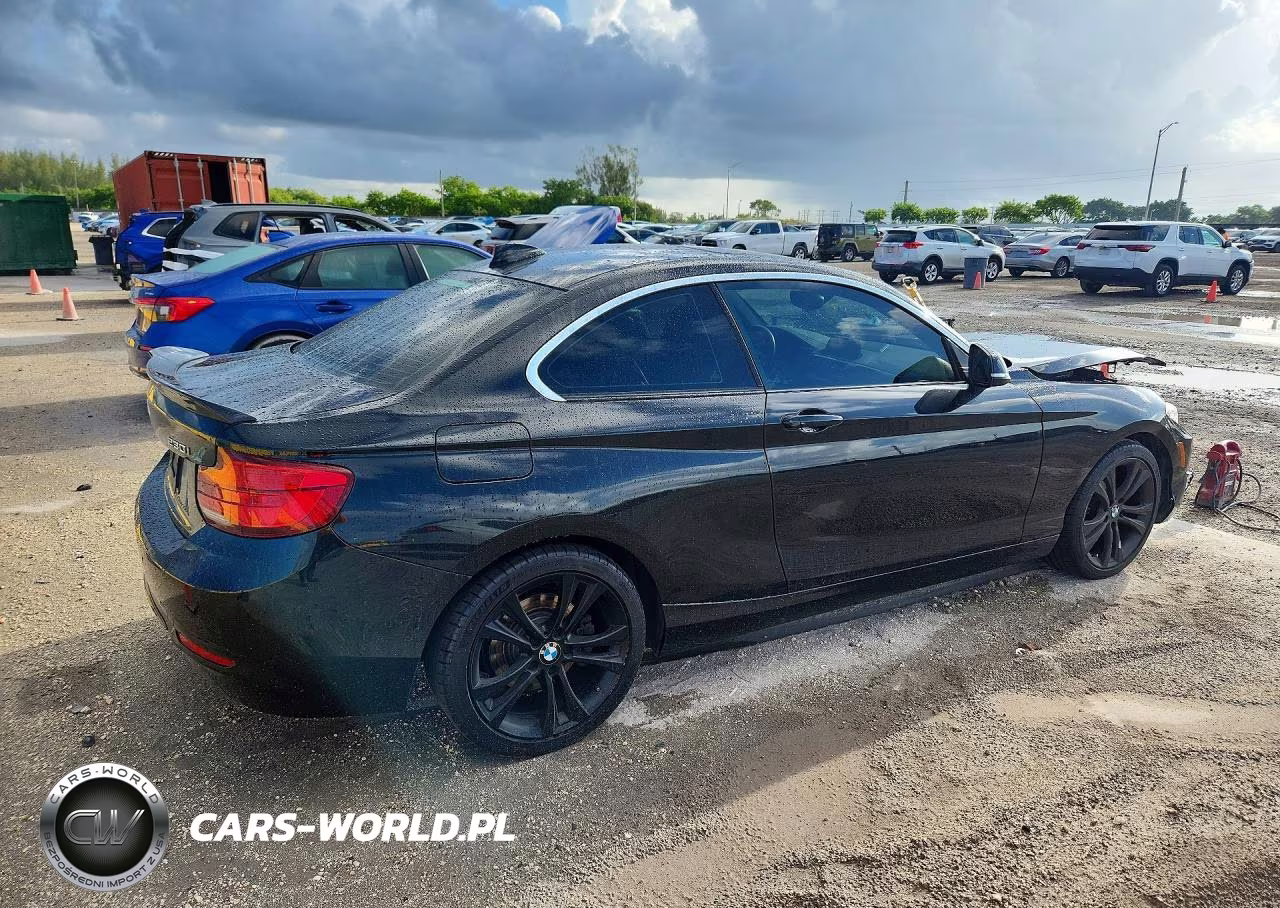 2019 BMW 230I VIN:WBA2J1C57KVD10171 - 3