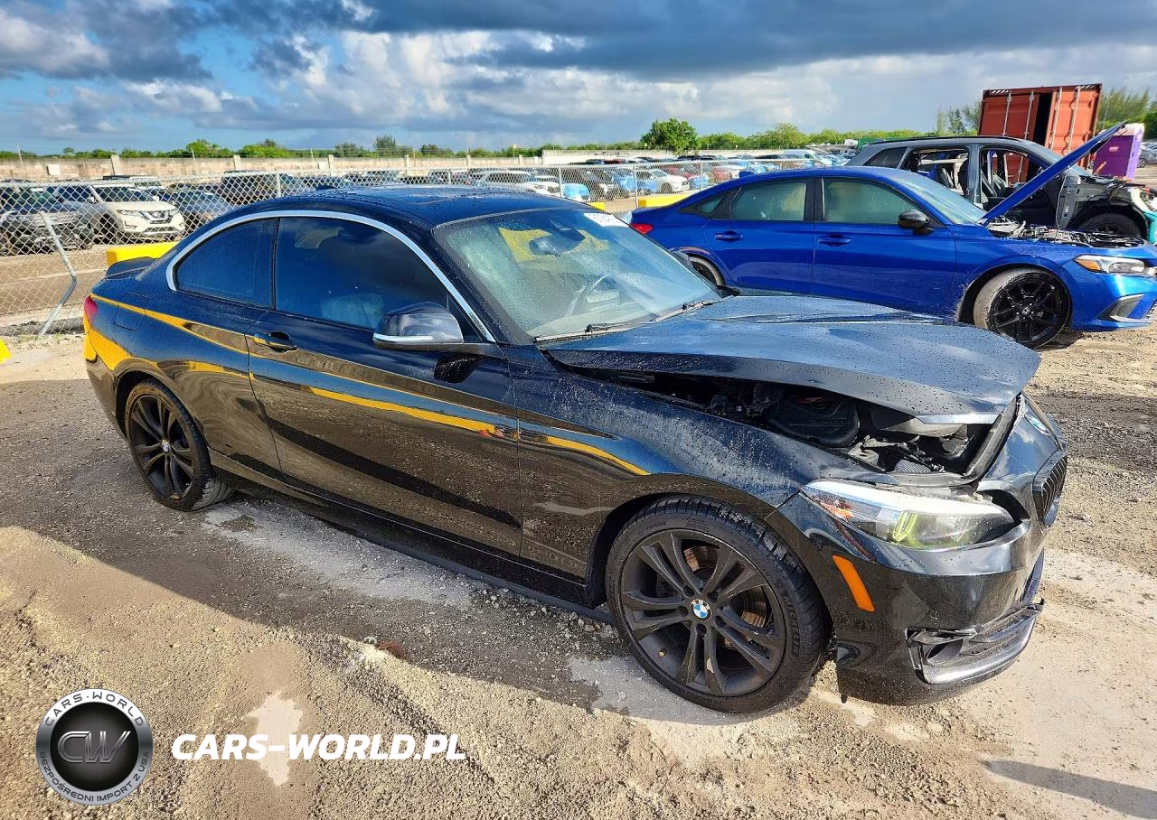 2019 BMW 230I VIN:WBA2J1C57KVD10171 - 4