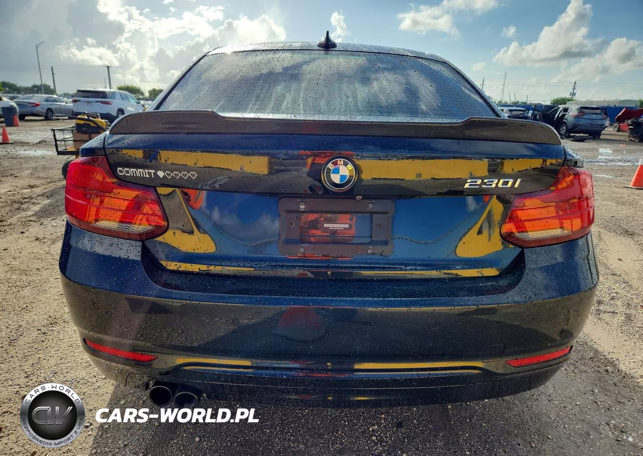 2019 BMW 230I VIN:WBA2J1C57KVD10171 - 6