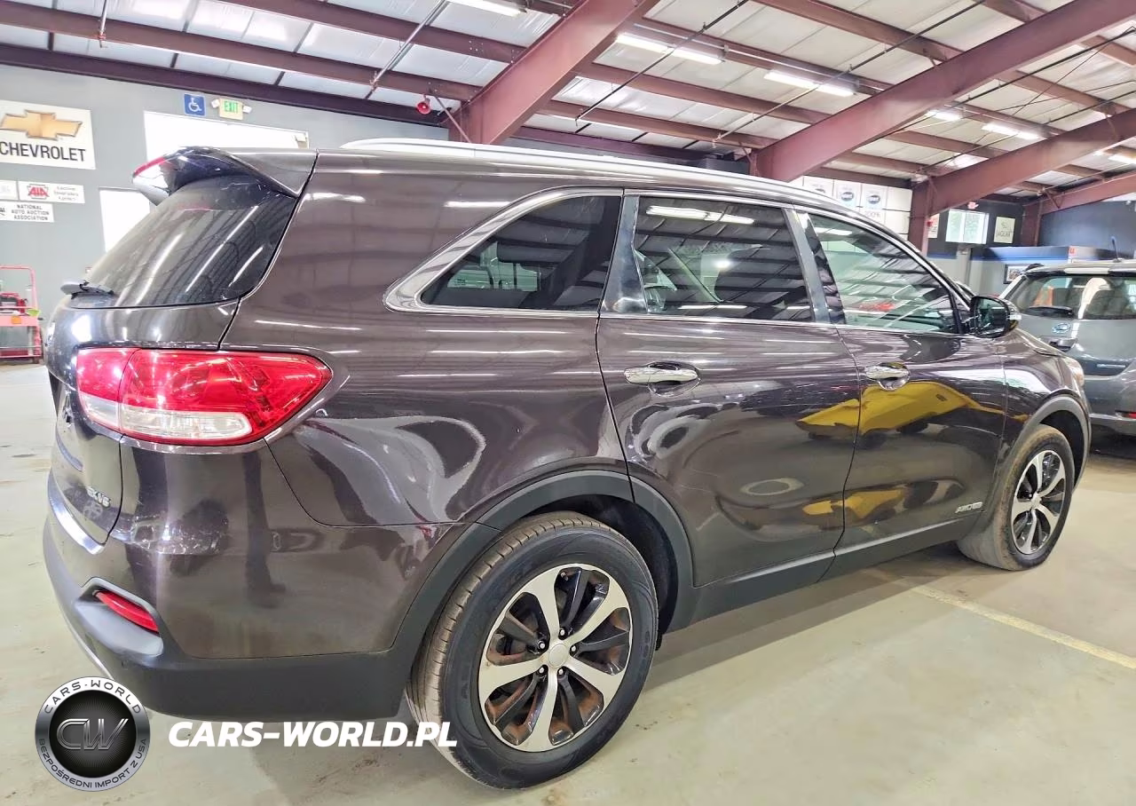 2016 Kia Sorento Ex VIN:5XYPHDA55GG104058 - 3