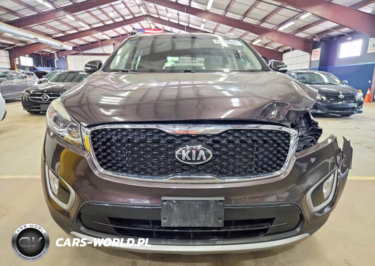2016 Kia Sorento Ex VIN:5XYPHDA55GG104058 - 5