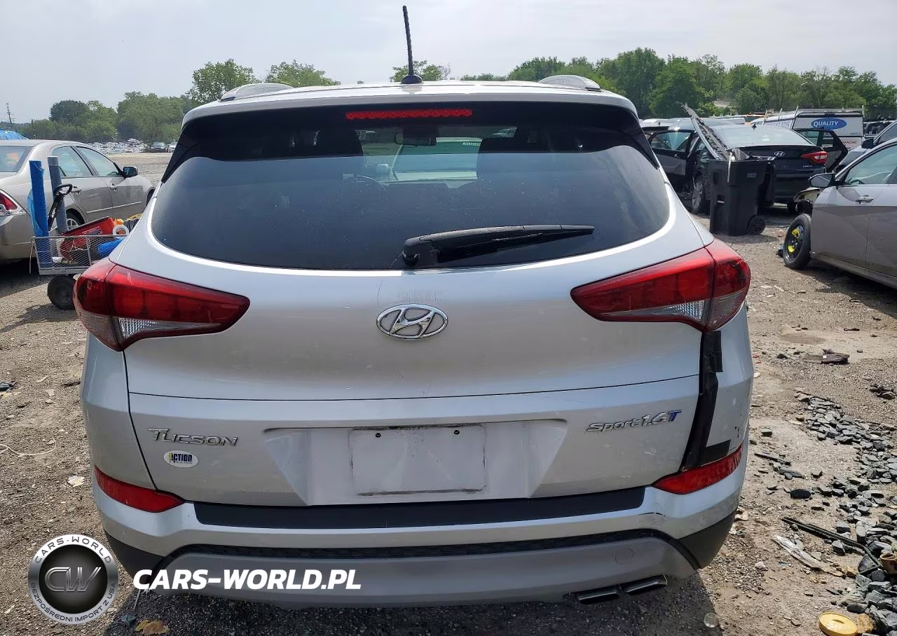 2017 Hyundai Tucson Sport VIN:KM8J33A24HU388931 - 6