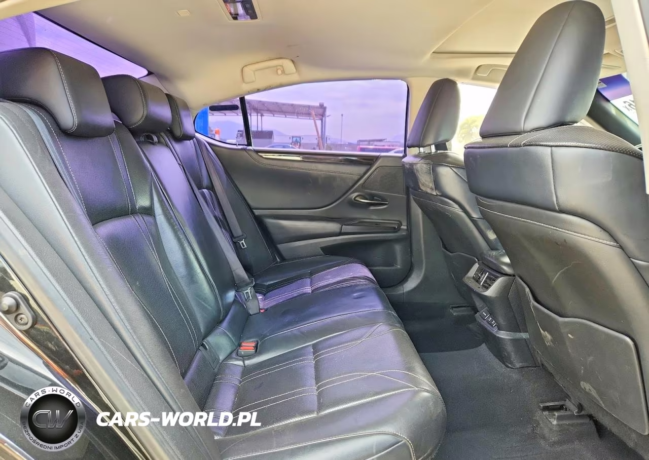 2019 Lexus Es 300H VIN:JTHB21B13K2032946 - 10