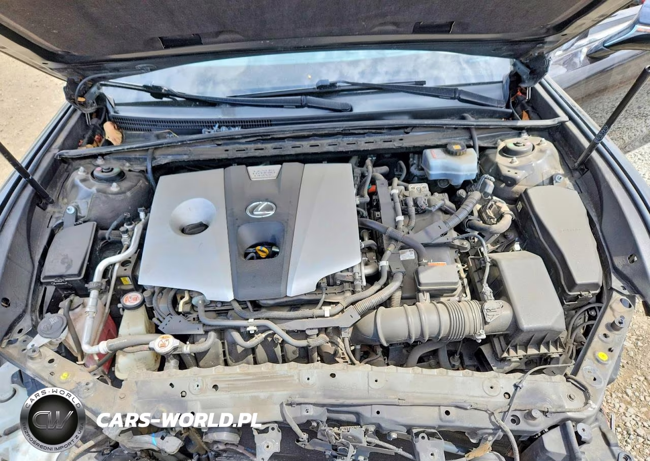 2019 Lexus Es 300H VIN:JTHB21B13K2032946 - 11