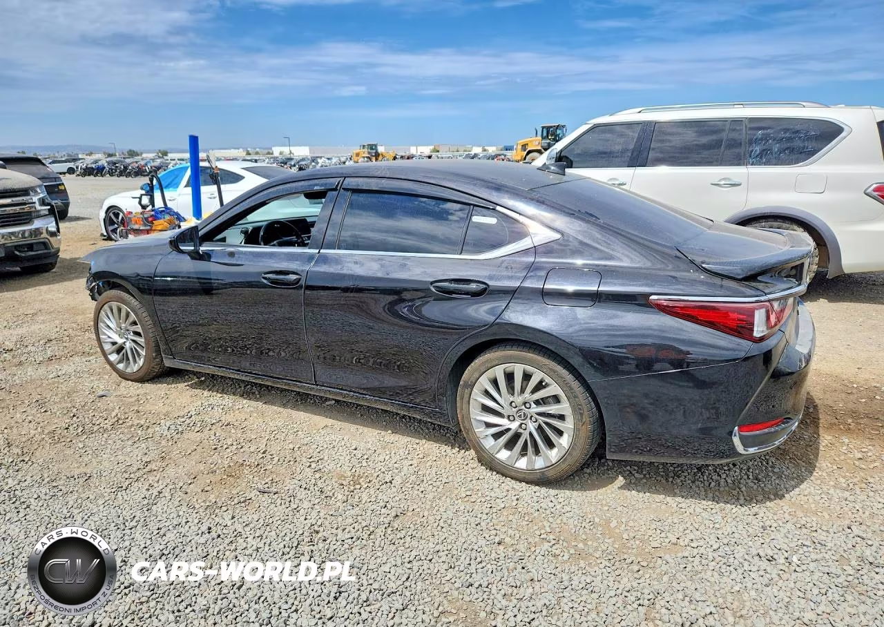2019 Lexus Es 300H VIN:JTHB21B13K2032946 - 2
