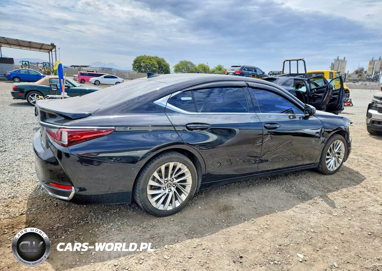 2019 Lexus Es 300H VIN:JTHB21B13K2032946 - 3