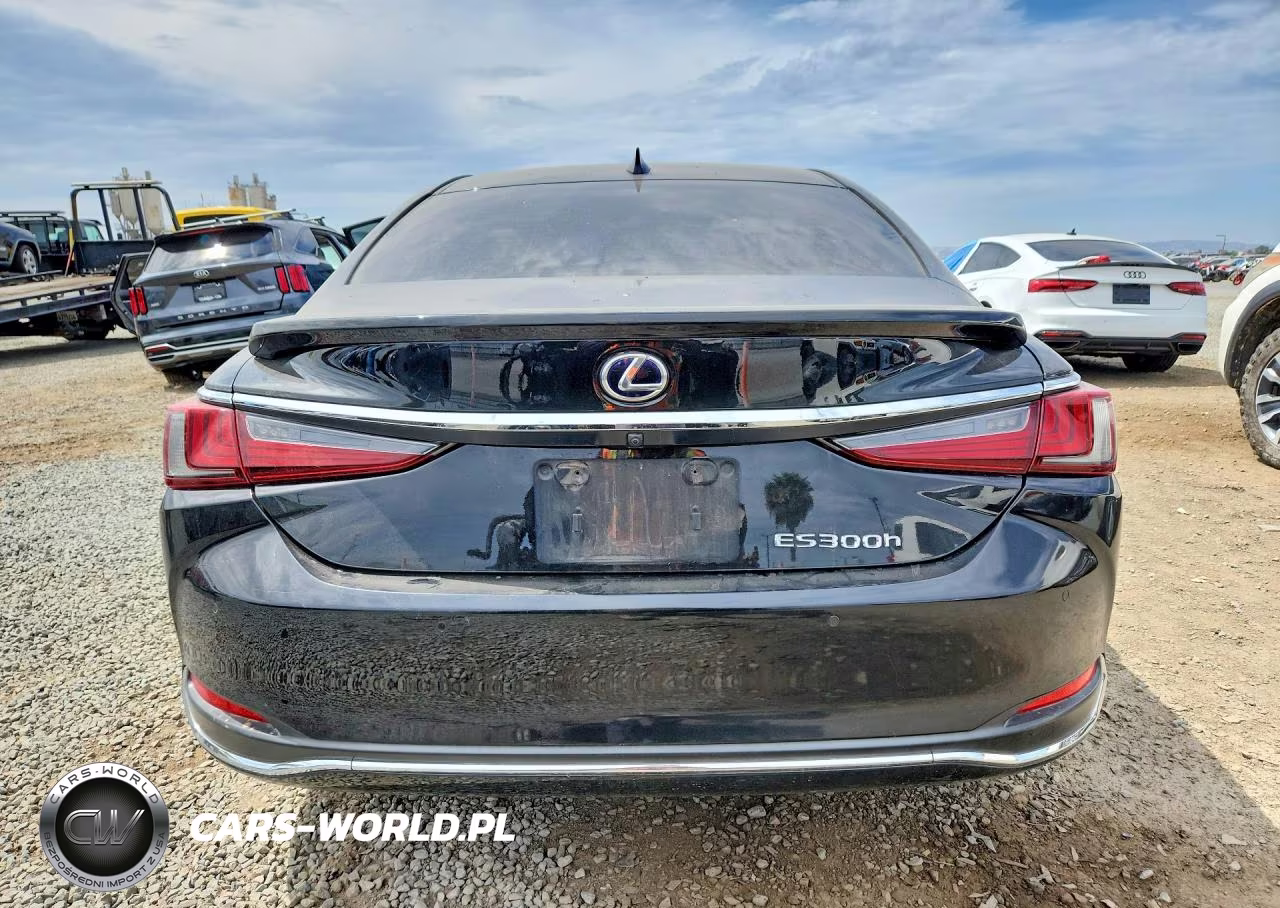 2019 Lexus Es 300H VIN:JTHB21B13K2032946 - 6