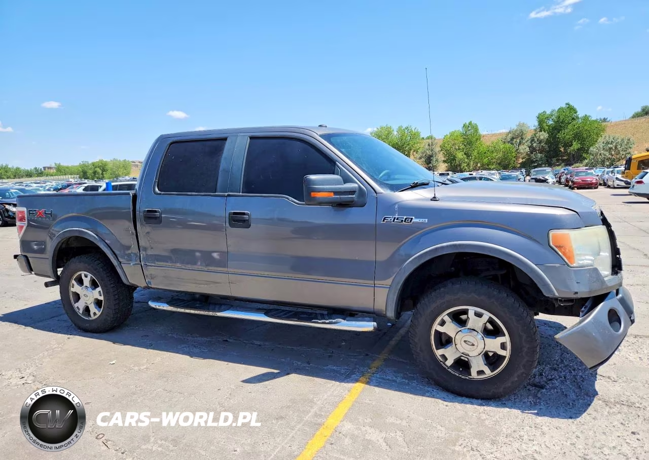 2009 Ford F150 Supercrew VIN:1FTPW14V89KB82735 - 4