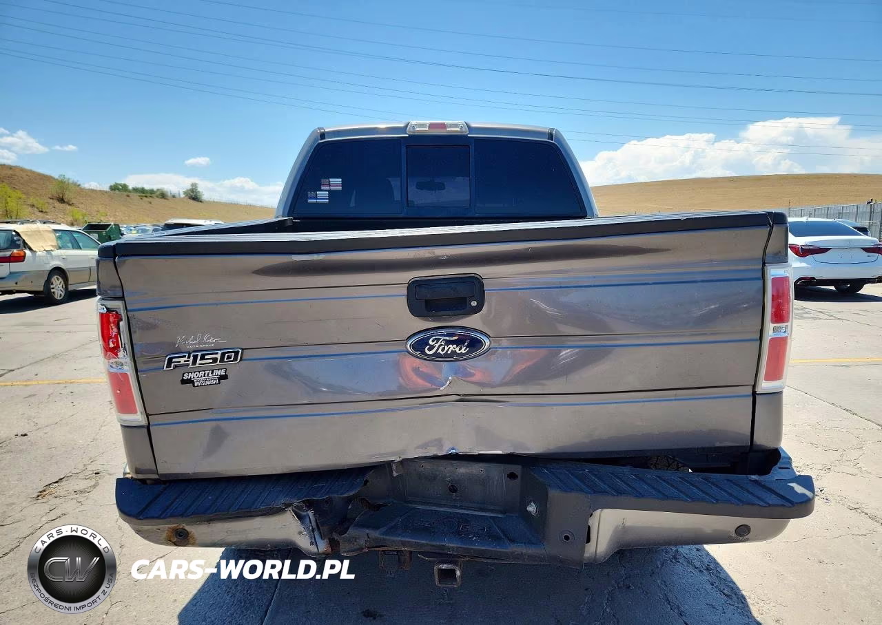 2009 Ford F150 Supercrew VIN:1FTPW14V89KB82735 - 6