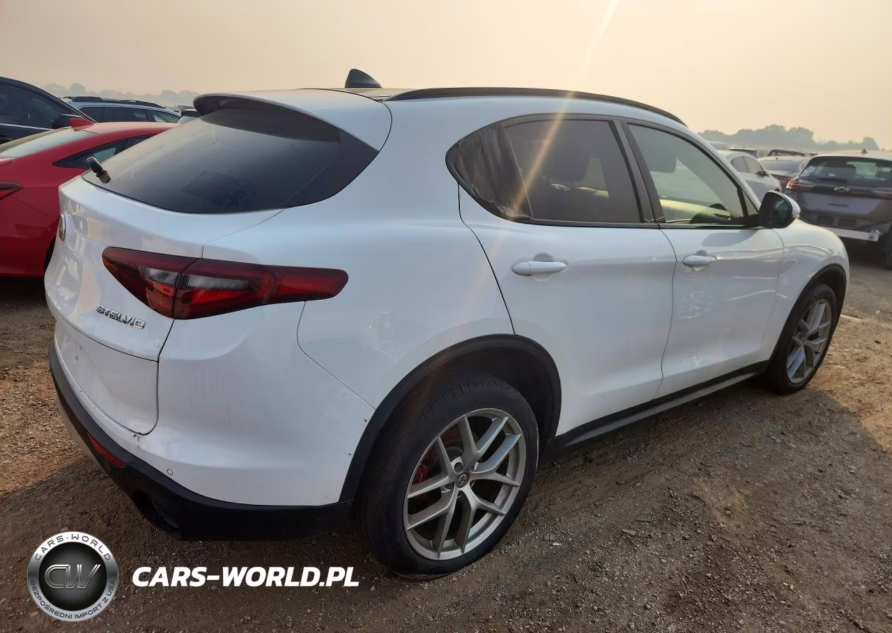 2018 Alfa Romeo Stelvio Sport VIN:ZASFAKPN9J7B78607 - 3