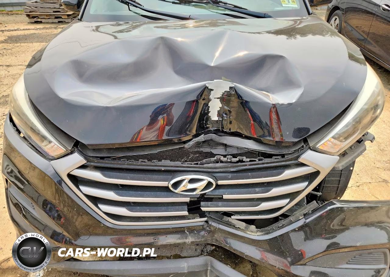 2017 Hyundai Tucson Se VIN:KM8J23A45HU570562 - 11
