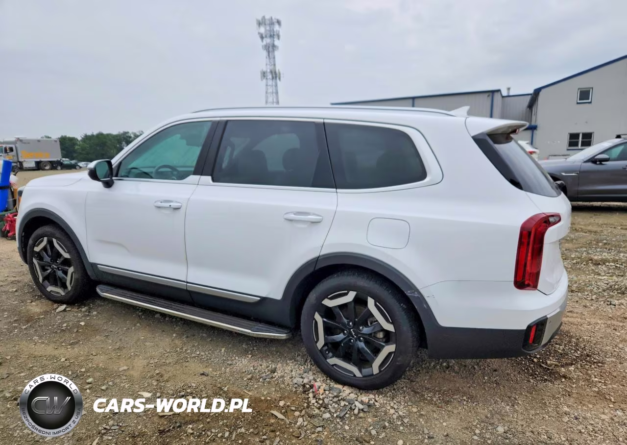 2024 Kia Telluride S VIN:5XYP6DGC1RG483476 - 2