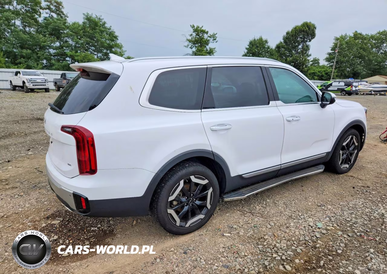 2024 Kia Telluride S VIN:5XYP6DGC1RG483476 - 3