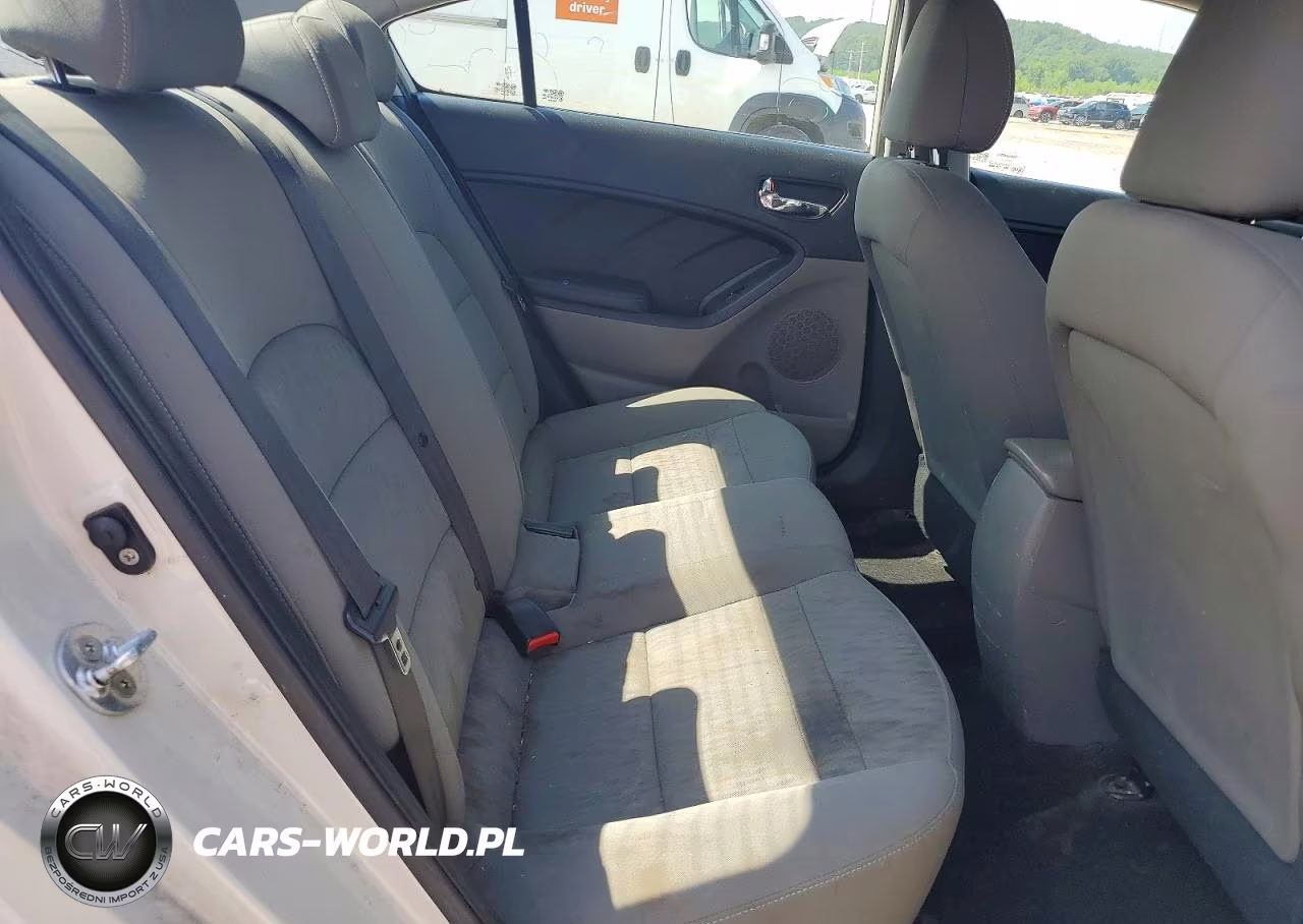 2015 Kia Forte Lx VIN:KNAFK4A61F5275738 - 10