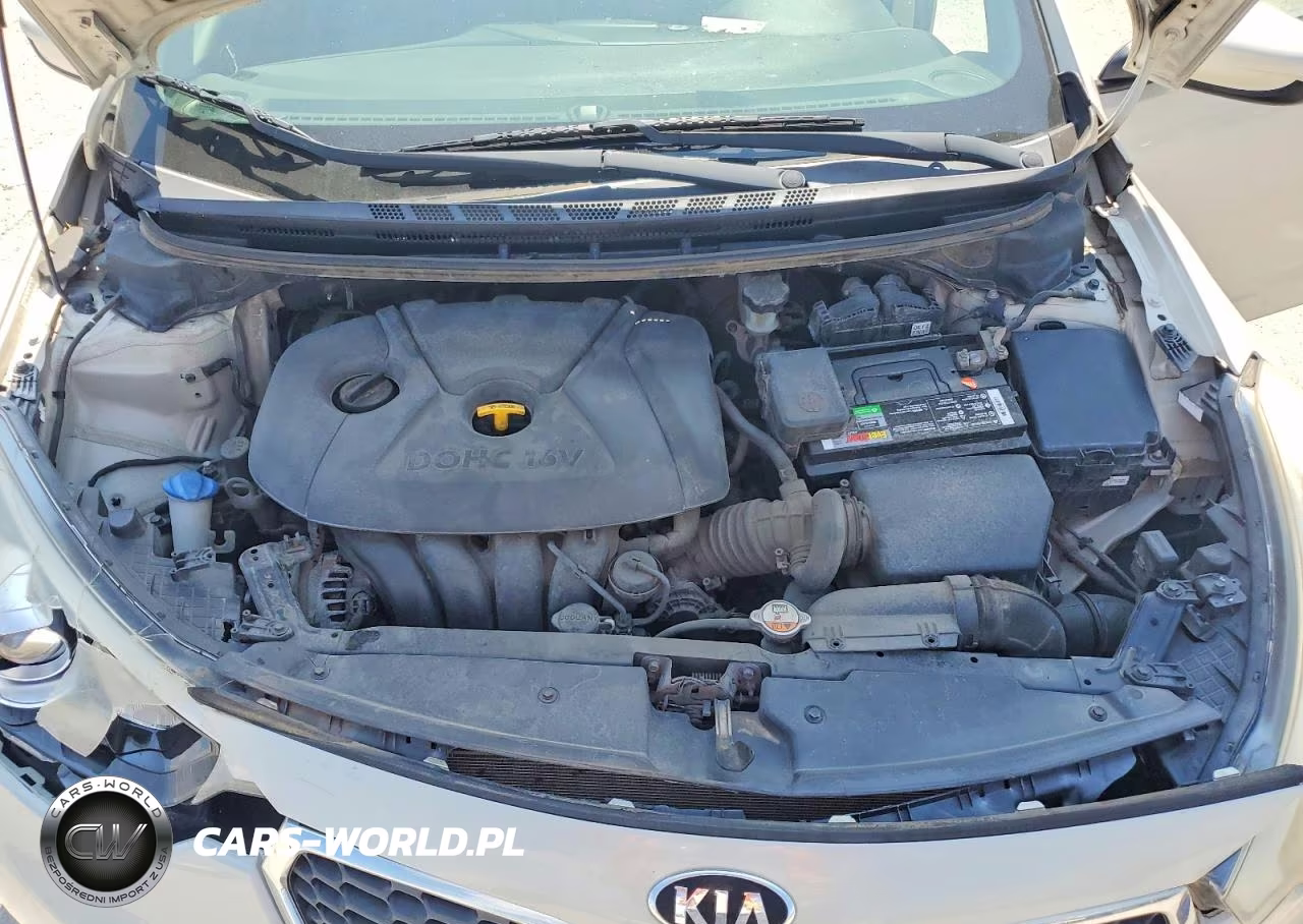 2015 Kia Forte Lx VIN:KNAFK4A61F5275738 - 11