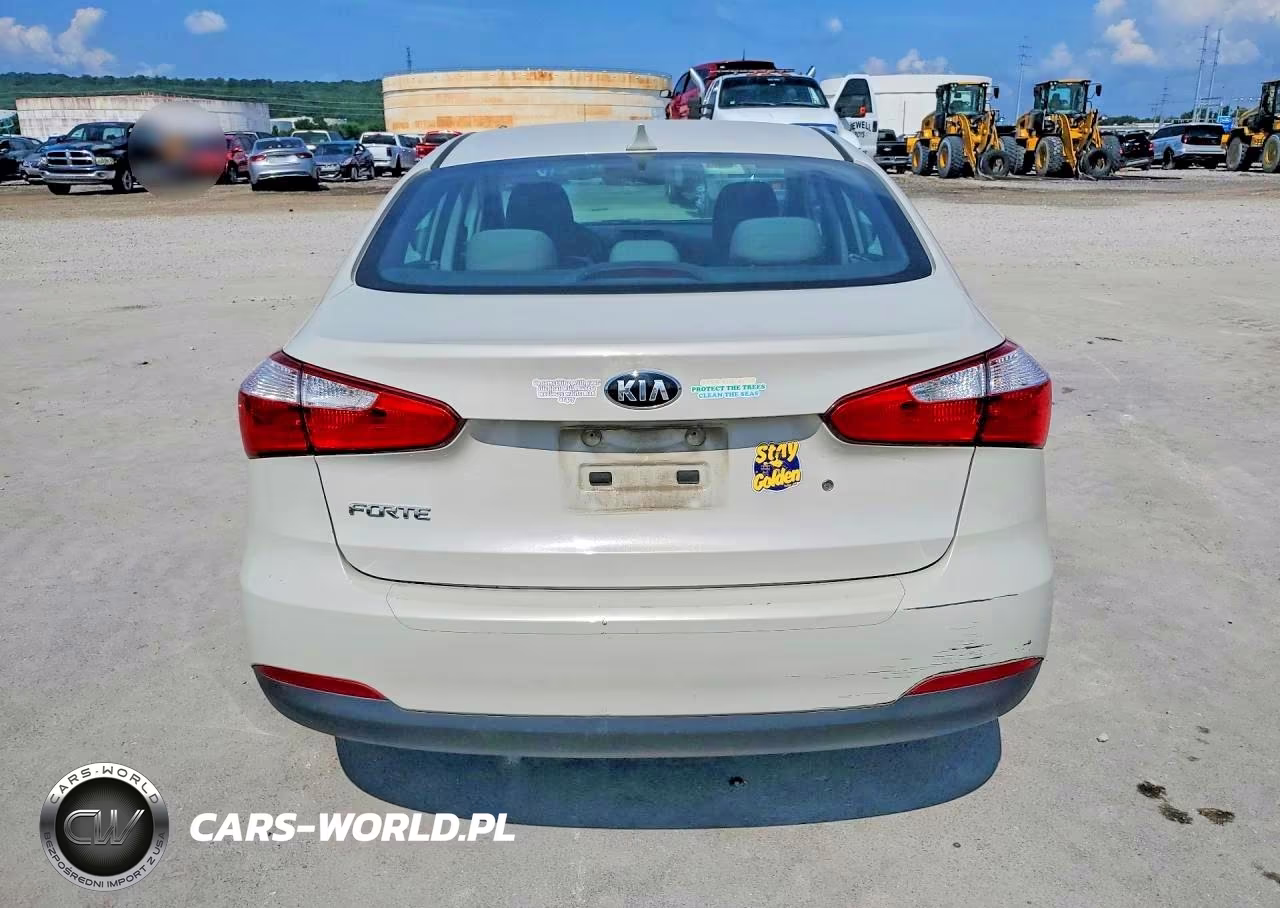 2015 Kia Forte Lx VIN:KNAFK4A61F5275738 - 6