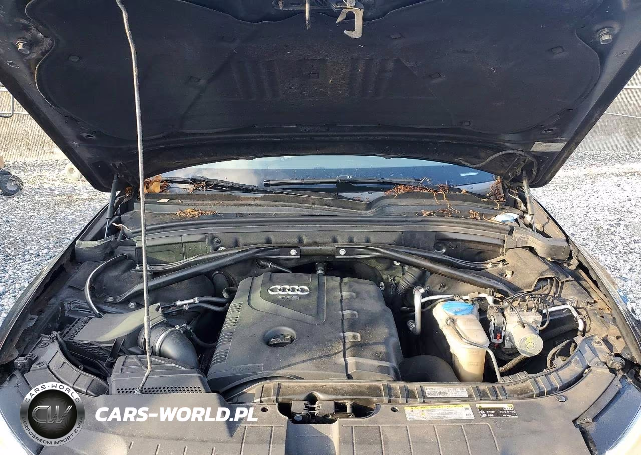 2013 Audi Q5 Premium Plus VIN:WA1LFAFPXDA051750 - 11