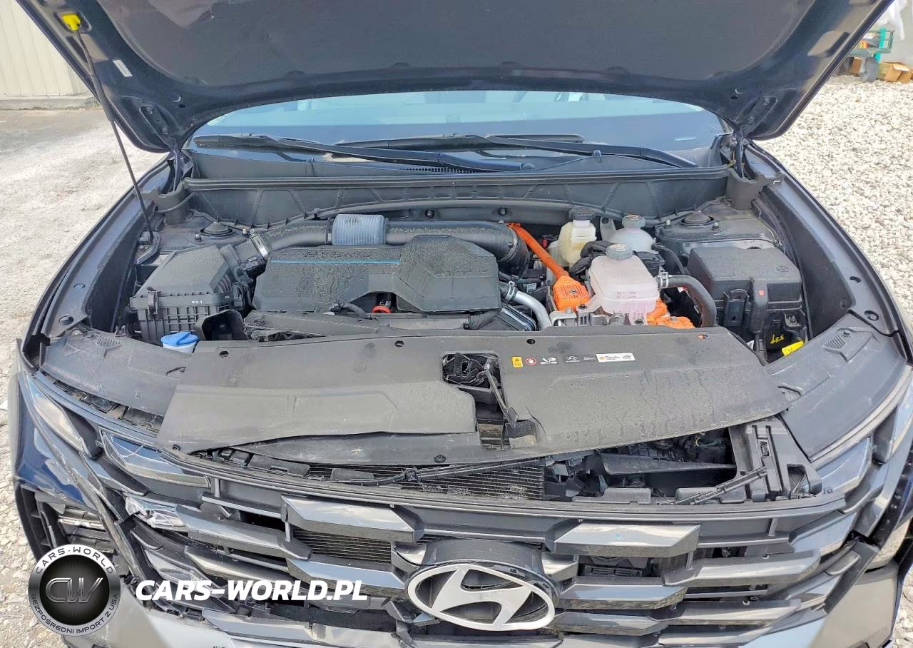 2025 Hyundai Tucson Blue VIN:KM8JBDD10SU258700 - 11