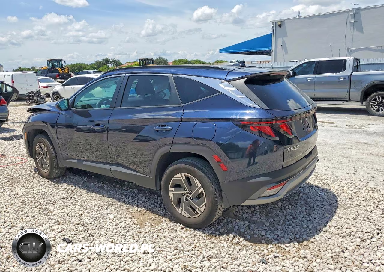 2025 Hyundai Tucson Blue VIN:KM8JBDD10SU258700 - 2