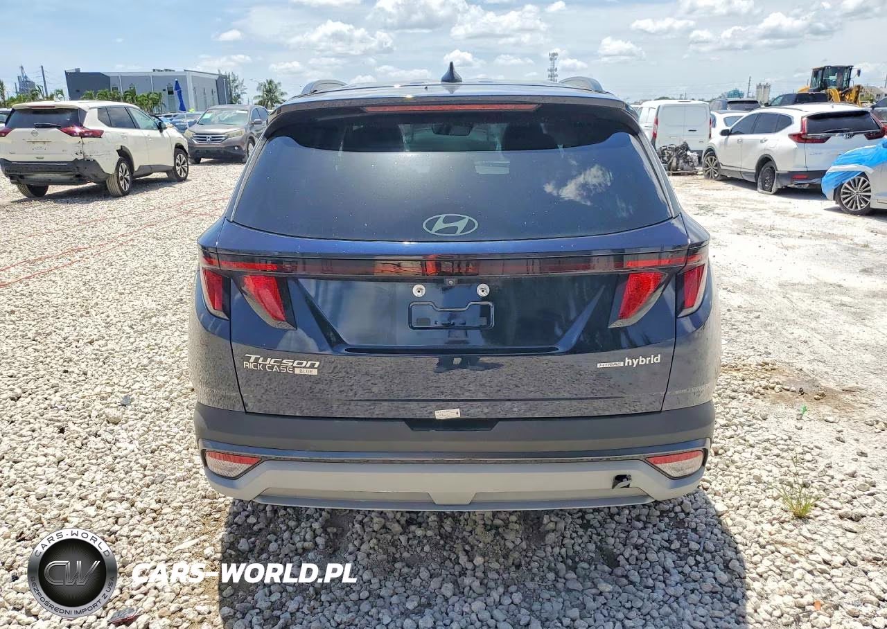 2025 Hyundai Tucson Blue VIN:KM8JBDD10SU258700 - 6