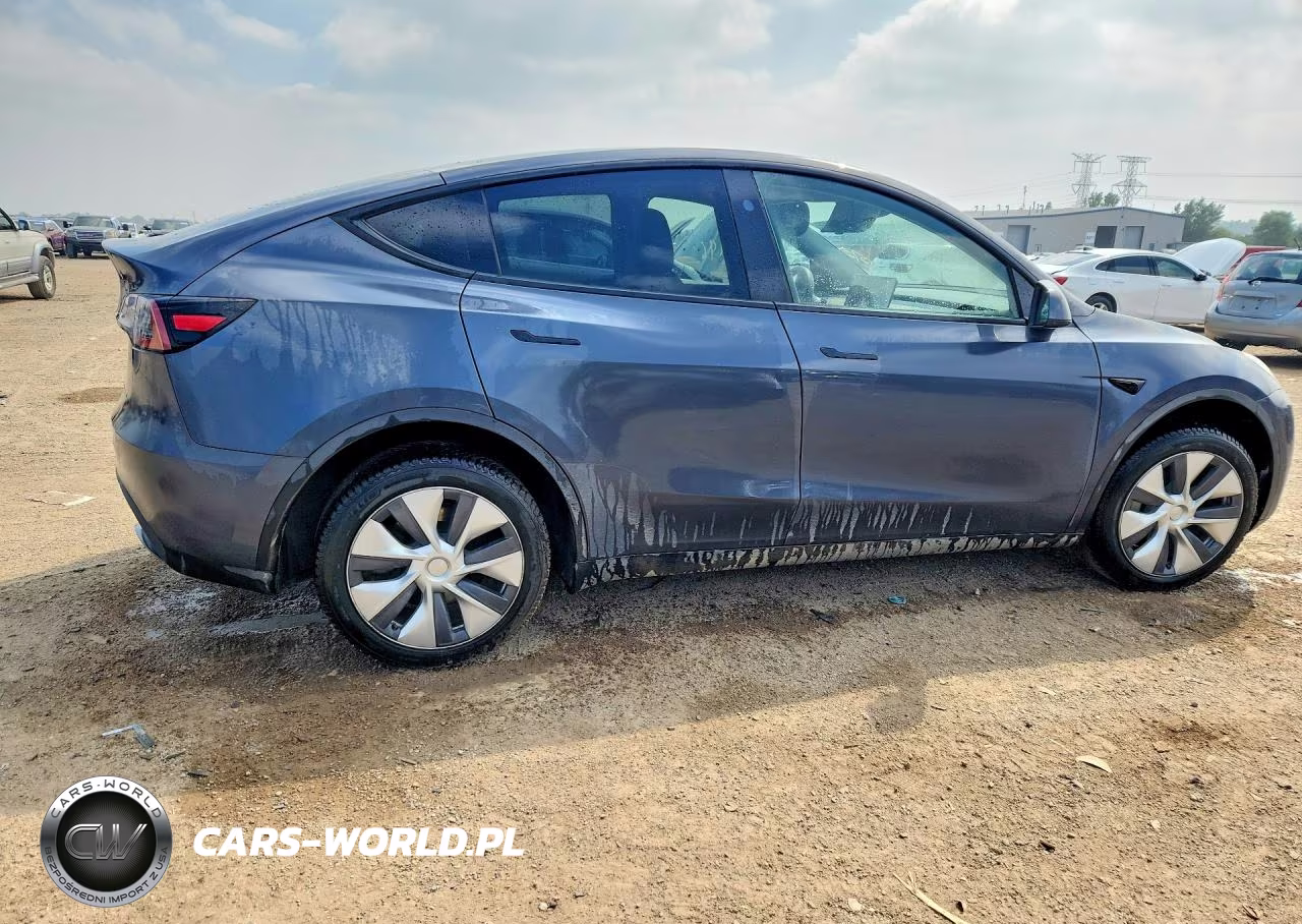 2023 Tesla Model Y VIN:7SAYGDEE1PA197492 - 3