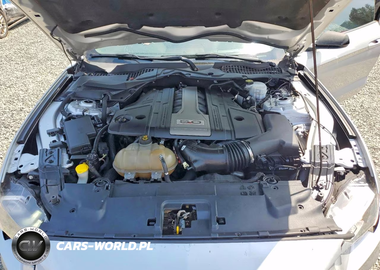 2019 Ford Mustang Gt VIN:1FA6P8CF6K5102614 - 11