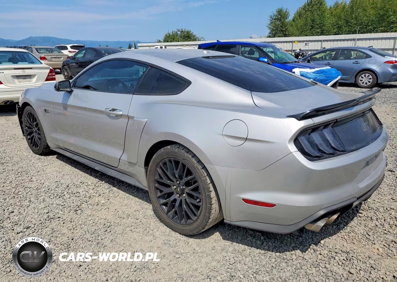 2019 Ford Mustang Gt VIN:1FA6P8CF6K5102614 - 2