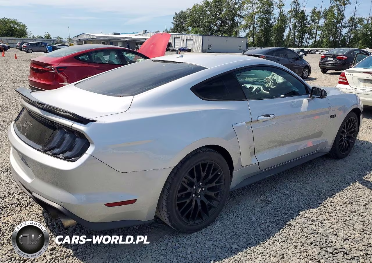 2019 Ford Mustang Gt VIN:1FA6P8CF6K5102614 - 3