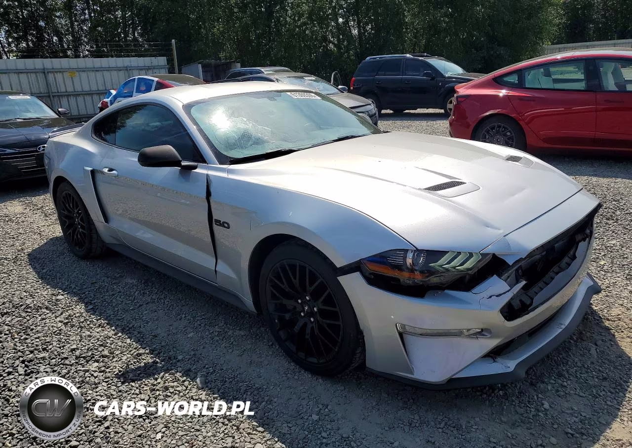 2019 Ford Mustang Gt VIN:1FA6P8CF6K5102614 - 4