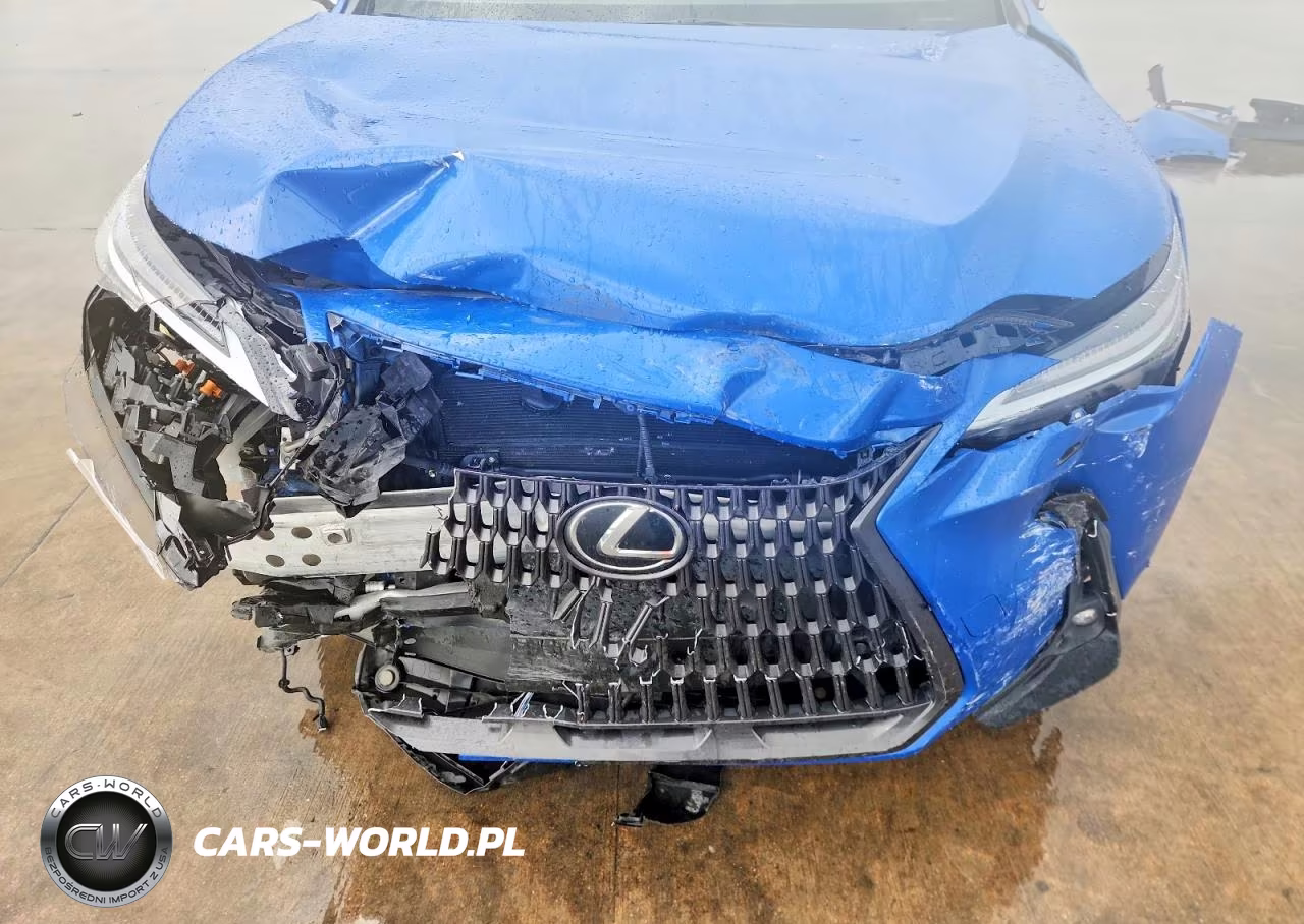 2023 Lexus Nx 450H VIN:JTJHKCFZ4P2015214 - 12