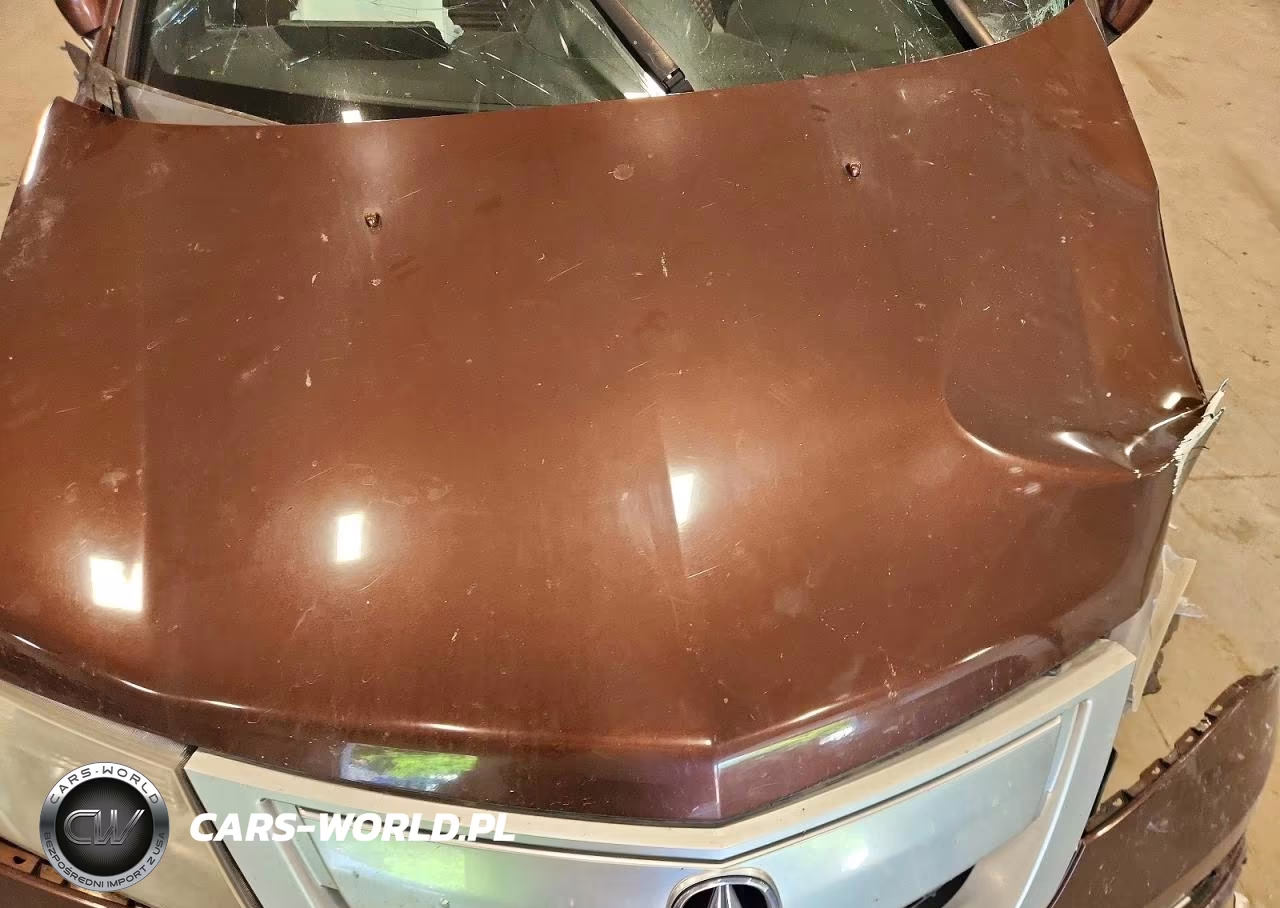 2010 Acura Mdx Advance VIN:2HNYD2H53AH506397 - 12