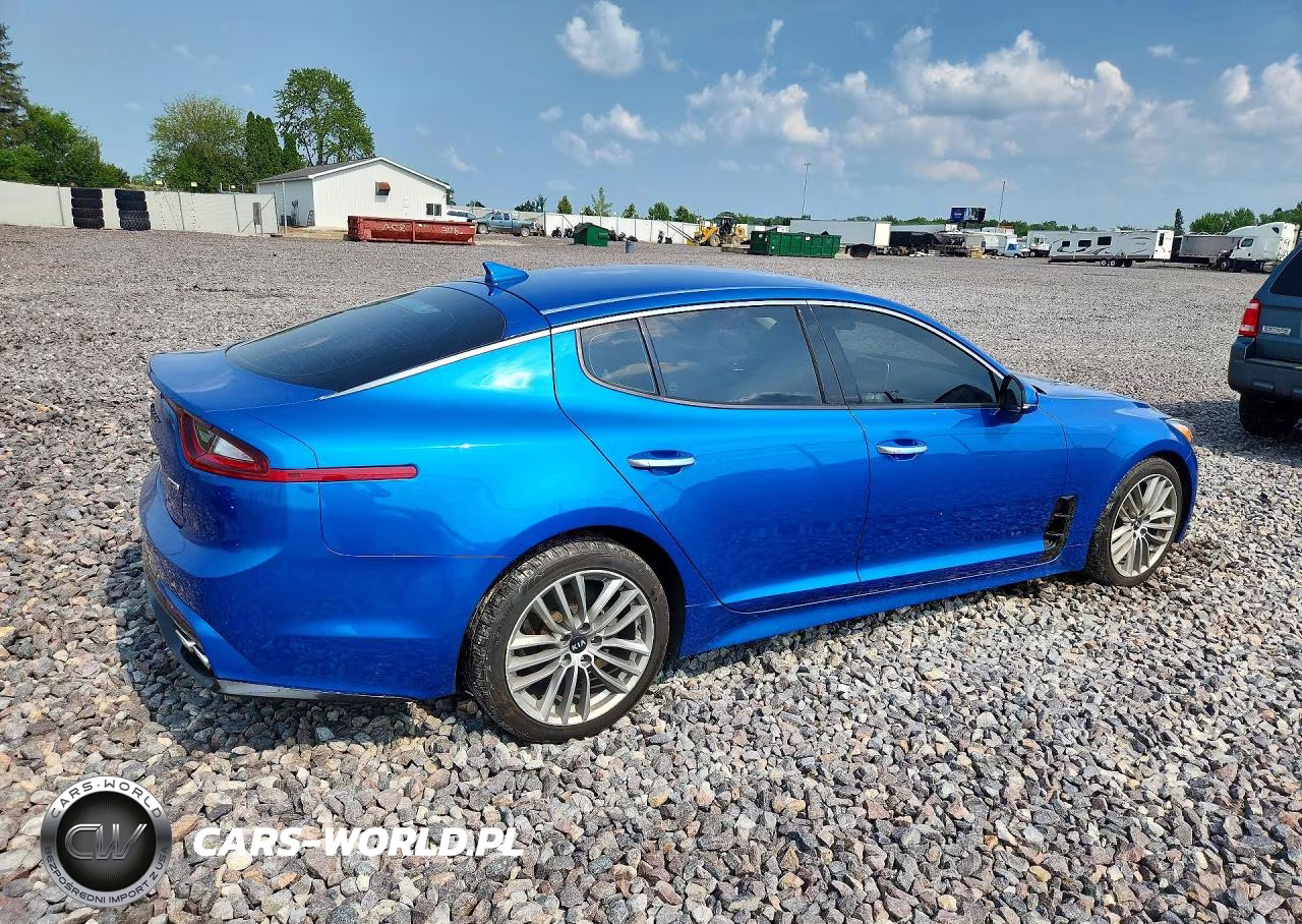 2018 Kia Stinger Base VIN:KNAE15LA6J6041300 - 3