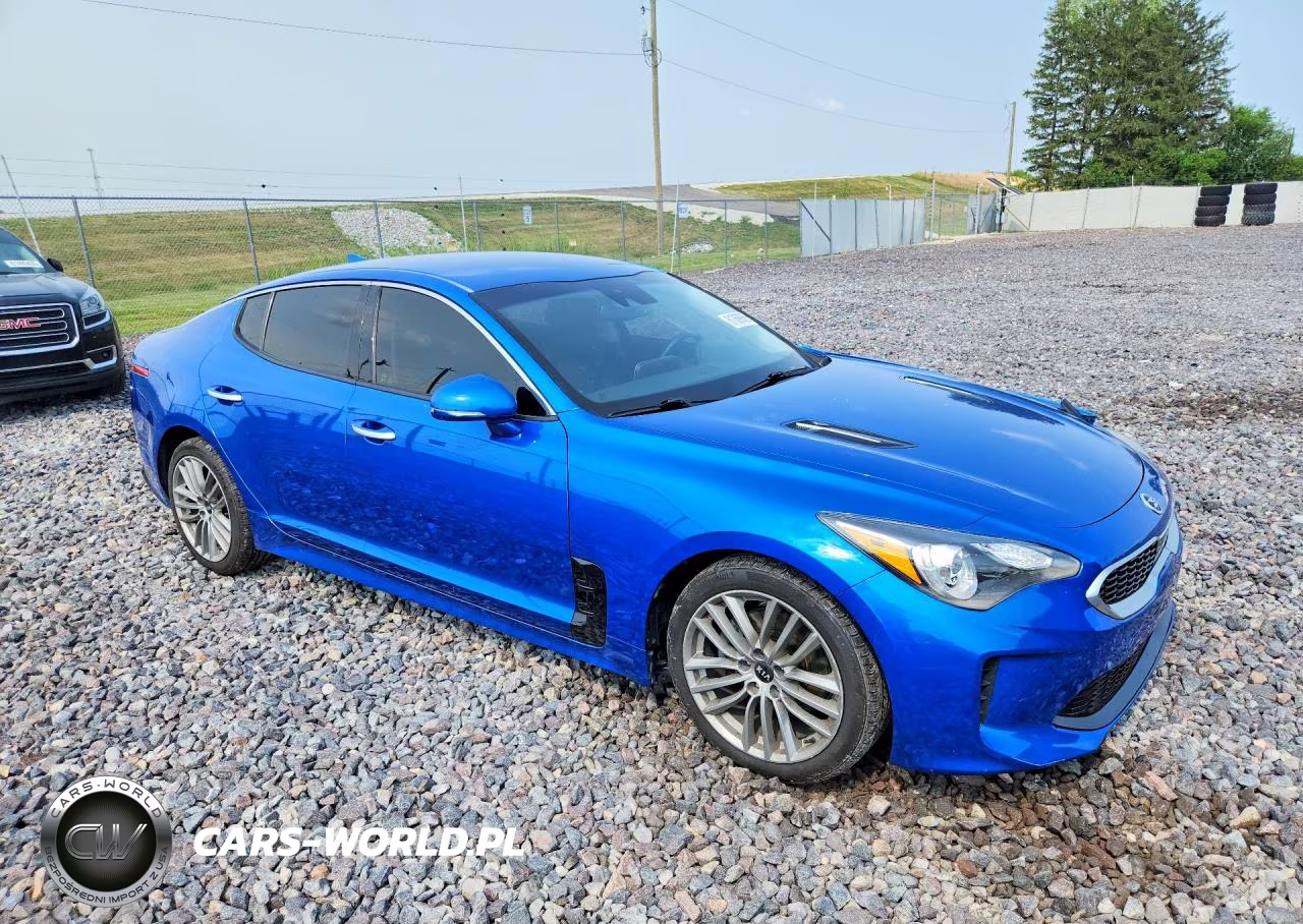 2018 Kia Stinger Base VIN:KNAE15LA6J6041300 - 4