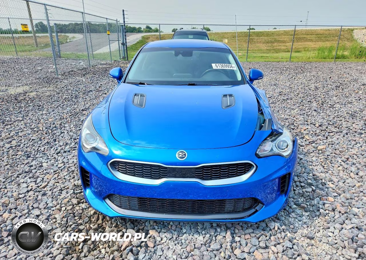 2018 Kia Stinger Base VIN:KNAE15LA6J6041300 - 5