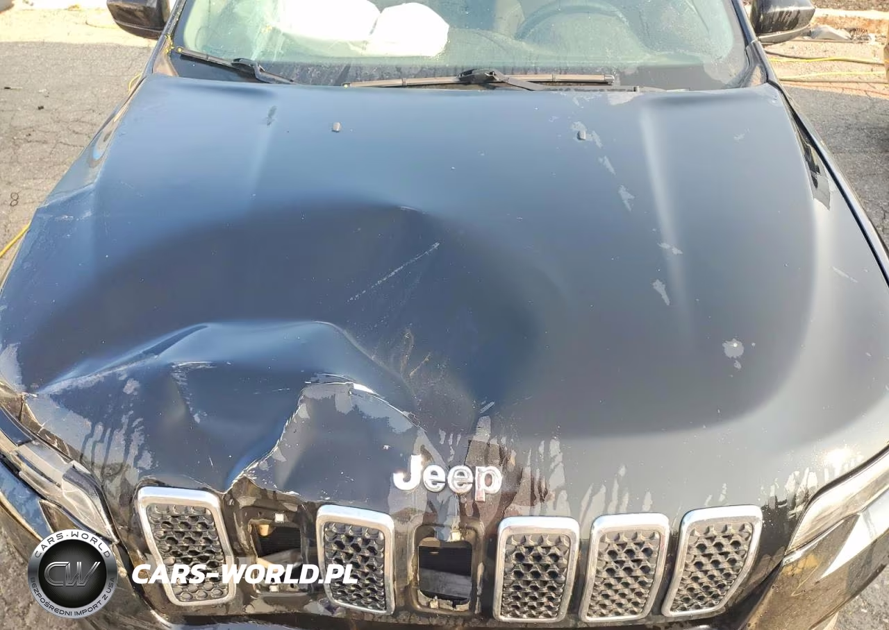 2019 Jeep Cherokee Latitude VIN:1C4PJMCXXKD102686 - 12