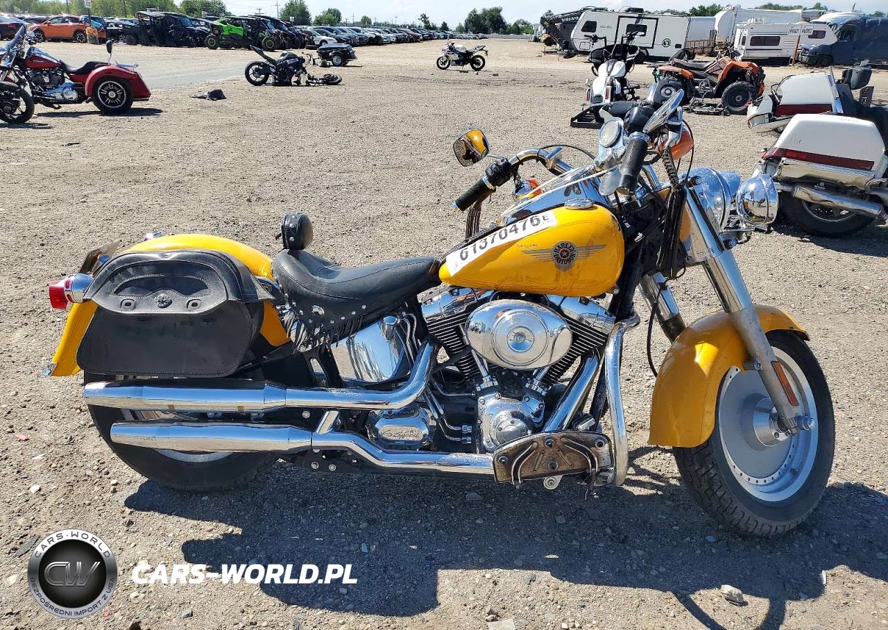 2000 Harley-Davidson Flstf VIN:1HD1BMY16YY046740 - 1